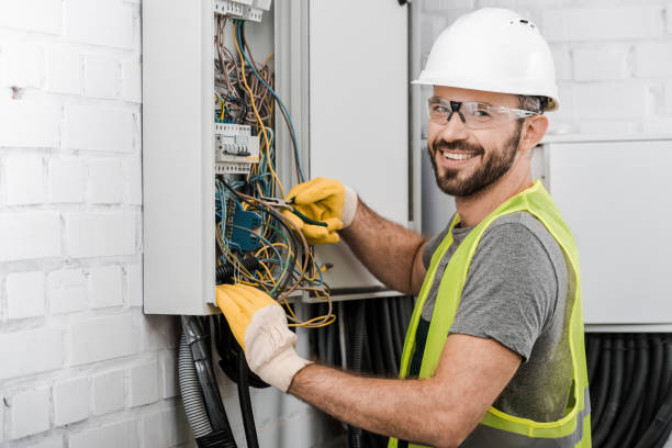 Best Licensed Electrician  in Lakeview, MI