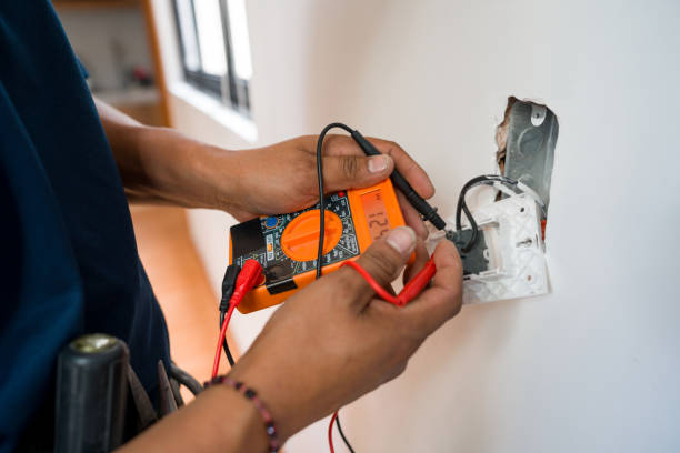 Best Home Electrical Repair  in Lakeview, MI