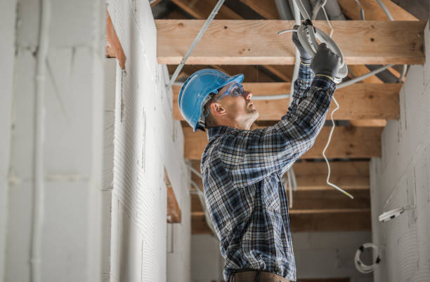 Best 24-Hour Electrician  in Lakeview, MI