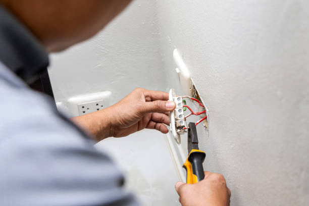 Best Electrical System Inspection  in Lakeview, MI